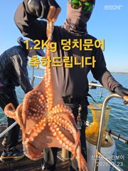 삼천포 마린보이 9. 23. 덩치 주간문어 대박조황으로 다녀왔습니다. 사진