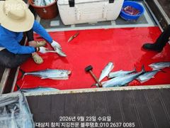 23/수, 오후타임도 대삼치 고시 캐스팅 파티! 사진