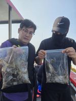 [시간낚시]9월23일인천배낚시덕적호쭈갑조황사진1부 사진