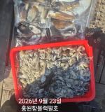 쭈갑조황 글만 보기 사진