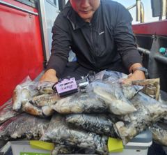 [문어] 9월23일 (수요일) 쭈갑 사진