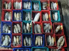 09.23 [경주] 23/수, 오후타임도 대삼치 고시 캐스팅 파티! 사진