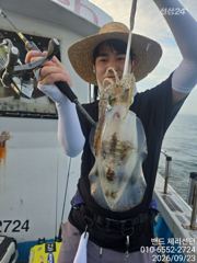 (통영팁런) 좌사리에서 무우, 고구마들 마리수~~ 사진