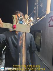 내만칼치ㅡ피딩,피딩! 쿨러넘쳐 씨알.마릿수 초대박입니다( 오늘 예약가능) 사진