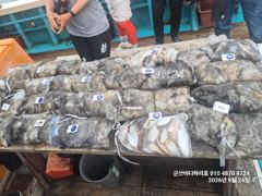 [군산] 군산바다하리호 9월 24일 쭈꾸미조황입니다 사진