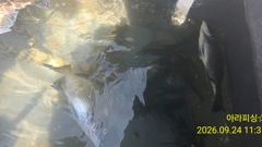 1시간전 [남해] 9월 24일 남해 갈화 강바다호 문어 선상조황 사진