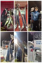 12시간전 [고성] 24일 감성돔흘림 조황입니다 사진