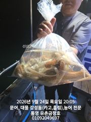 통영 금정호 오후문어도 재미나게 잡아냅니다!! 내일 오전 자리여유있습니다 사진