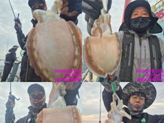 <레인보우호> 갑오징어 종일 실시간 조황(25일)-금일 오후 쭈꾸미배 자리있습니다. 사진