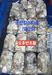 군산킹스타호(9/25반일반) 쭈꾸미 굿~마무리조황 (내일 1자리여유발생) 사진
