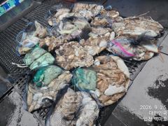 [백마호] [ 백마호 ] 9월 25일 [ 인천 갑오징어 + 주꾸미 조황 !! ] [ 인천배낚시 청마피싱 / 인천선상낚시 / 인천낚시배 ] 사진