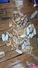 09.25. 쭈&갑 출조 조황정보 사진