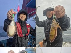 크라운호 갑오징어 실시간조황(26일)-내일도 자리있음 사진