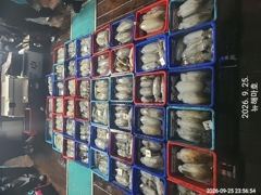 [포항] 무늬오징어 대물들 즐비합니다." .^^ 사진