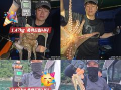 25일 계속해서 쓸어담으러 야간~돌문어 마리수 잡으러 출조 갑니다 @ 일,월,화요일 ~몇 자리 예약가능 사진