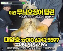 (무늬오징어)이게 원도권 씨알 K전후 덩치들~대양호(오늘 예약) 사진