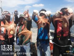 [진해] 돌문어 키로급들 내일예약중~ 사진
