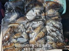 [홍원항타이탄호] 9월26일(토) 갑쭈 조황 사진