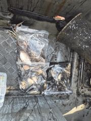 [뉴행진호] 26년 9월 26일 갑오징어 조황 사진