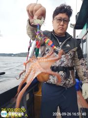 9-26(오후조황)사이즈 좋은 돌문어~일오후 예약중 사진