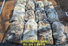 26일 군산썬크루즈호 쭈꾸미 조황입니다 사진