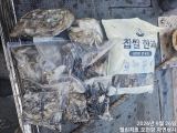 주말 쭈갑출조 다녀왔습니다 사진