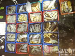 [포항] 24일 야간 조황 사진