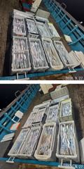 먼바다 왕갈치 9월27일 일요일 조황 사진