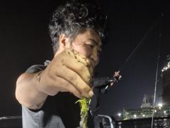 문이조항 사진