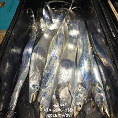 [마산] 왕갈치 풍성한 조황 자리여유 있어요^^ 사진