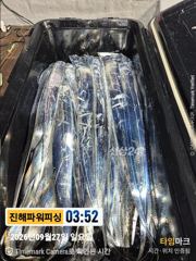 [진해] [갈치/텐빈/텐야]27일입항~만쿨자부터[오늘예약가능] 사진