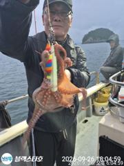 오늘야간문어 출동합니다 11자리여유 사진