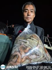 오늘야간문어 출동합니다 11자리여유 사진