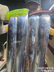 27일새벽,내만칼치~3지까지 텐빈1타1피 폭풍입질 퍼담고~일,월,화욜예약가능~ 사진