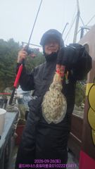 9월26일 강진마량 문어 사진