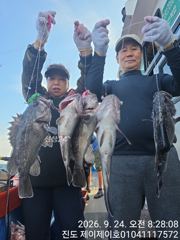 진도제이제이 갈치.우럭병행 나갑니다 사진