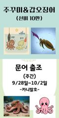 [군산] 군산. 대한낚시. 광어. 연속. 15번째. 세자리수. 조황. 사진