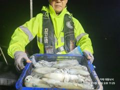[거제] (무늬오징어)무시급 우수수~장원 20여수 가뿐~대동낚시(오늘 예… 사진