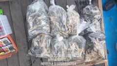 [사천] (주꾸미)물 빨라도 OK 장원 70수 삼천포 소식~로마피싱(28… 사진