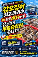 (건담호)27일 갑오징어 우당탕탕탕, 월요일 자리여유, 이벤트중 사진