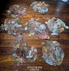 [진해] (문어)담고 또 담고 33수~20여수까지 바글바글 강민호(28일… 사진