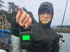 [진해] 돌문어주,야간1,3k급외바글바글살림망묵~직손맛장!!! 사진