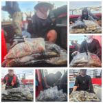 문어 글만 보기 사진