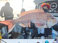 9/27 ★★★캐리비안호★★먼바다 참돔~110수 Good 조황입니다. 사진