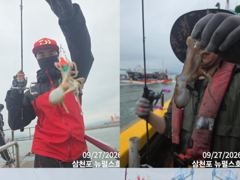 삼천포 뉴펄스호 쭈꾸미 호황 평일11시 주말휴일 종일 사진