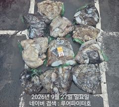 루어파이터호-9/27 일 [8물] 쭈/갑 조항 입니다. 사진