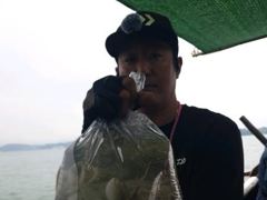 [사천] 왕쭈꾸미 조황입니다 사진