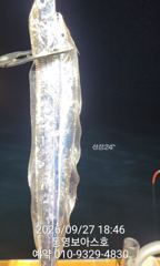 지금 보아스호 핫 하네 사진