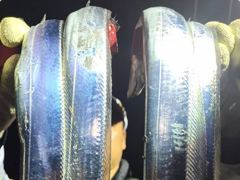 6시간전 [마산] 뉴성진호/감성돔이 너무 하네요/대박 사진